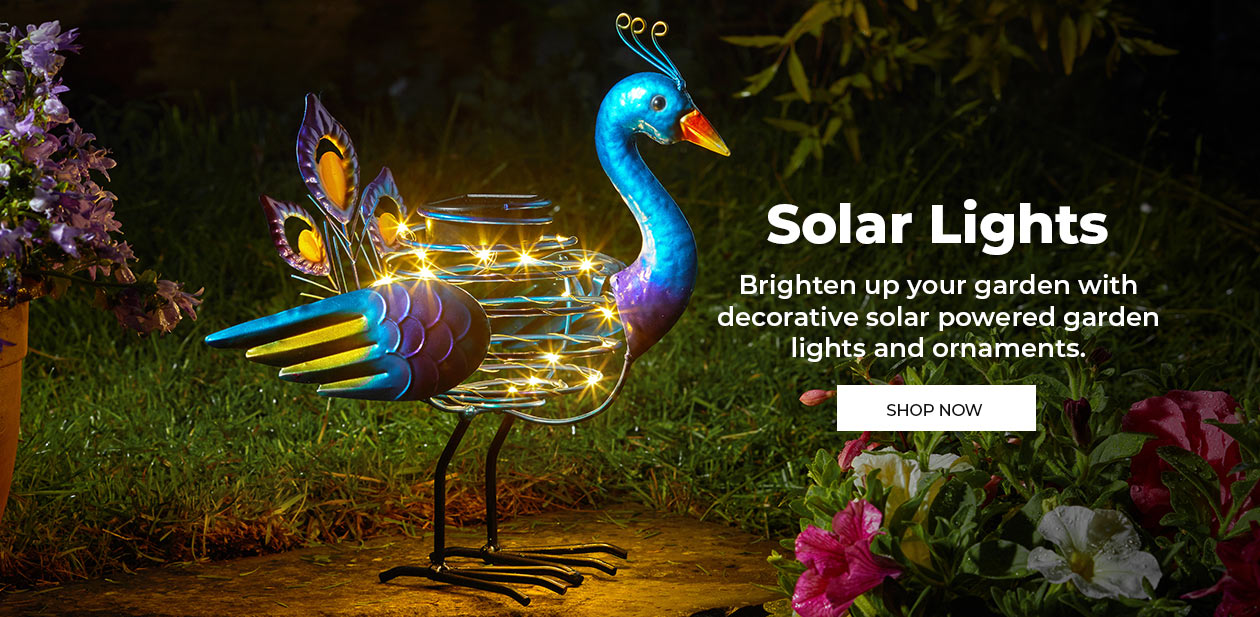 Solar Lights