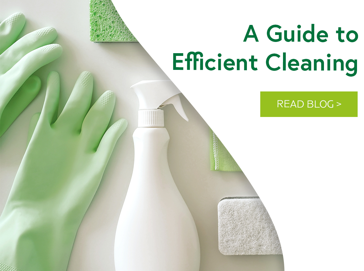 Essentials You Need for Autumn Blog